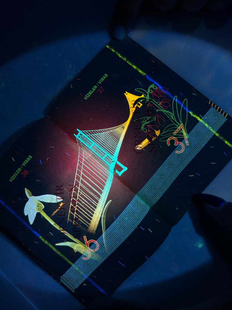 pasaport-visa-ink